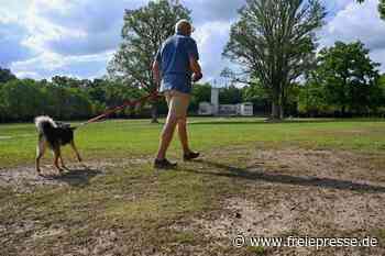 Wird in Chemnitz zu oft Rasen gemäht? - freiepresse.de