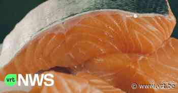 Man riskeert twee jaar cel na diefstal van stuk zalm in Wemmel - VRT NWS