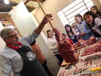 Crianças aprendem a fazer churrasco em Lagoa Vermelha - Globo