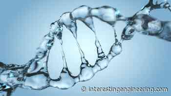 An engineering breakthrough using DNA could unlock the quantum computing revolution - Interesting Engineering