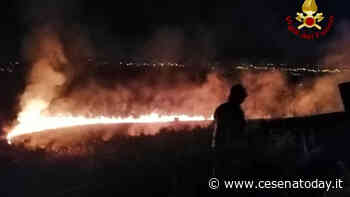 Vasto incendio in collina a cavallo tra Cesena e Bertinoro: ore di lavoro per i Vigili del fuoco - CesenaToday