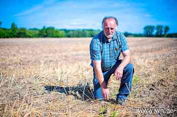 Trotz vieler Krisen: Keine Knappheit auf dem Bio-Bauernhof