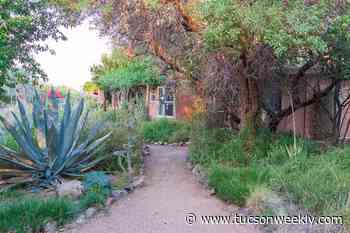 Paradise in the desert lets you wake, bake and bird