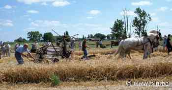 Oude landbouwleven centraal op paard- en oldtimerfeest | Aalter | hln.be - Het Laatste Nieuws
