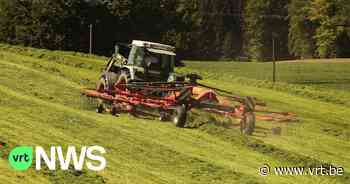 Vzw uit Aalter hangt zakdoek uit voor land- en tuinbouwers die het moeilijk hebben - VRT NWS