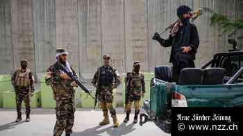 Wie geht es weiter mit der Kaida nach der Tötung von Zawahri?