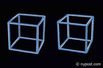 Can you solve this brain-busting optical illusion that stumped Elon Musk? - New York Post
