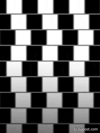 If you can solve this optical illusion, you might have a high IQ - New York Post