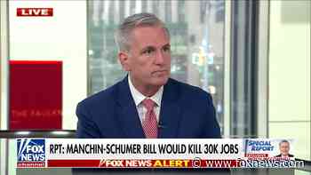 Kevin McCarthy rips Democrats' Inflation Reduction Act: No plan to solve the 'problems they created' - Fox News