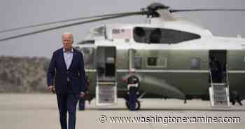 How do Democrats solve a problem like Joe Biden? - Washington Examiner