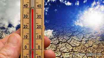 Wetter: Teufelskreis Dürre und Hitze - GABOT