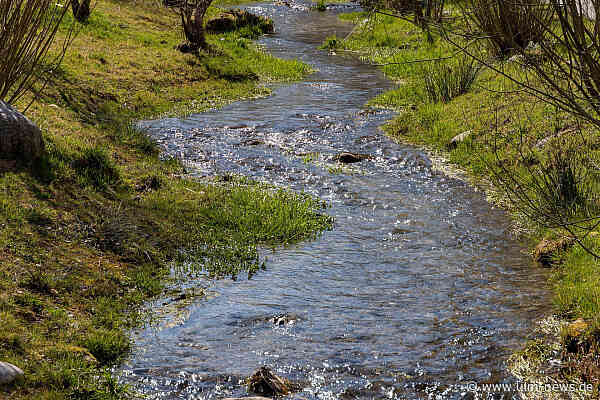Hitze und Trockenheit: Landratsamt Alb-Donau-Kreis rät zu sparsamem Wasserverbrauch