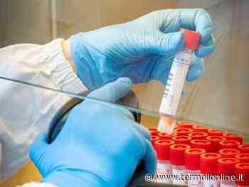 Termoli, Isernia, Campobasso: Covid: nel Molise 139 guariti e 245 contagi - Termoli Online