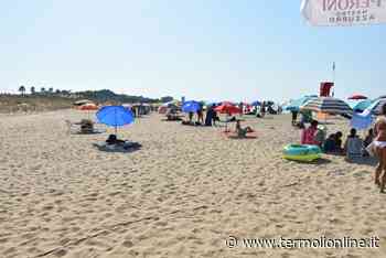 Finalmente una spiaggia anche per gli amici a 4 zampe, nasce la Bau bau beach - Termoli Online