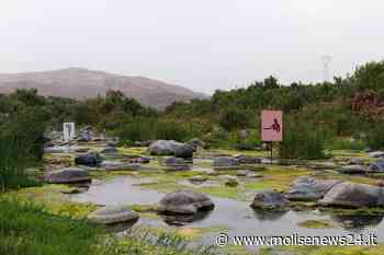 “La Soglia”, mostra di Renato Leotta al MACTE di Termoli - Molise News 24