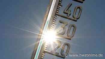 Wittmund schafft neue Stelle: Kreis stellt sich auf Folgen des Klimawandels ein - Nordwest-Zeitung