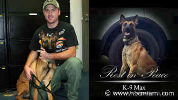 Central Florida Police K-9 Killed During Shootout With Career Criminal