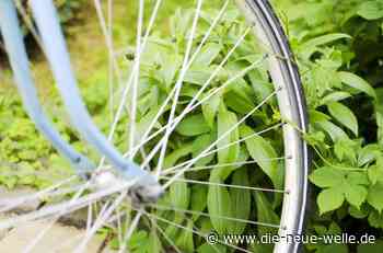 Pforzheim: Radfahrer stürzt und verletzt sich schwer - die neue welle - die neue welle