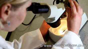 Prostate cancer messaging 'may be hampering early detection'