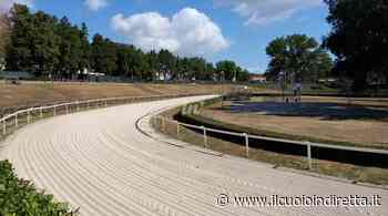 Palio di Fucecchio, il Cda spinge per un nuovo regolamento: convocata la commissione - IlCuoioInDiretta - IlCuoioInDiretta