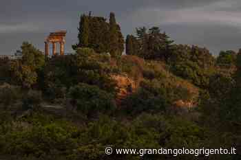 Agrigento, proseguono le serate Fai d’Estate al Giardino della Kolymbethra - Grandangolo Agrigento