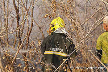 Em dois dias, quatro incêndios em vegetação são registrados em Picos - Cidade Verde