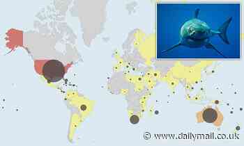 World's shark attack hotspots REVEALED: Interactive map shows the areas with the most encounters
