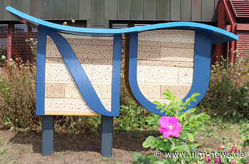 Insekten ziehen unter Dach des Landkreises Neu-Ulm