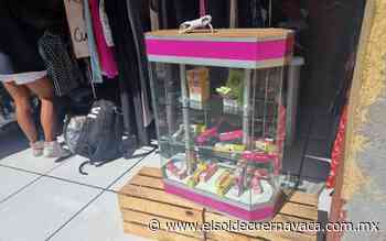 A la vista de todos venden vapeadores en Cuernavaca - El Sol de Cuernavaca