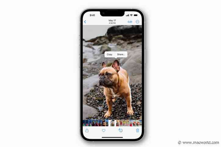 iOS 16: How to instantly lift the subject from any image
