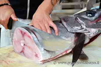 Ottimi questi involtini di pesce spada con crema di zucchine, senza forno - Proiezioni di borsa