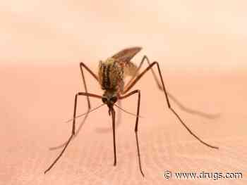 Monoclonal Antibody Might Help Prevent Malaria