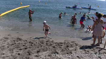 Natation en eau libre : A Bastia, très beau succès pour la 1ère de « A Rinella Race » - Corse Net Infos