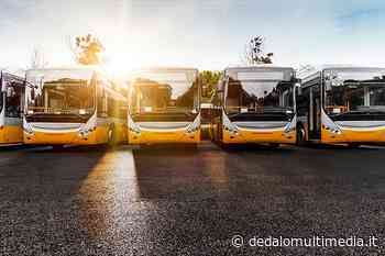 Immatricolazioni Autobus in calo in Sicilia, Enna -66,7% in un anno - Dedalomultimedia