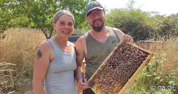 Naturnahbringer aus Much: Die Bienenretter kämpfen um jedes Tierchen​ - General-Anzeiger Bonn