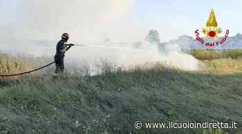 Fiamme di sterpaglie minacciano le case in via delle Prunacce a Pontedera - IlCuoioInDiretta - IlCuoioInDiretta