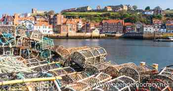 DEFRA pressured officials to rule out dredging as cause of Whitby crab deaths - Open Democracy
