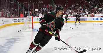 Arizona Coyotes Report Cards: Cam Dineen - Five For Howling