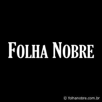 Rio Grande do Sul - conselheiro tutelar é afastado da função por usar carro do órgão para assistir a jogo de futebol em Porto Alegre - Folha Nobre