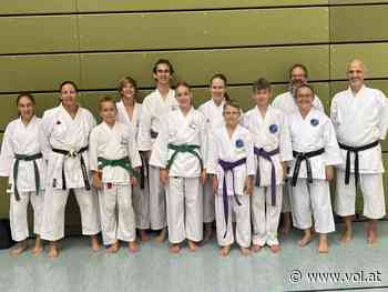 Karate-Sommercamp in Langenau - Bludesch - VOL.AT