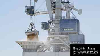 DIE NEUSTEN ENTWICKLUNGEN - Getreide aus der Ukraine: Die Ernte wird besser als erwartet