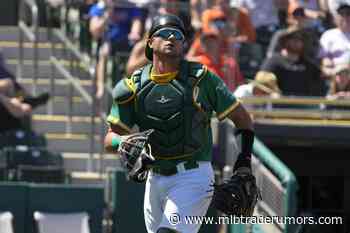 Cardinals Acquire Austin Allen From A's - MLB Trade Rumors