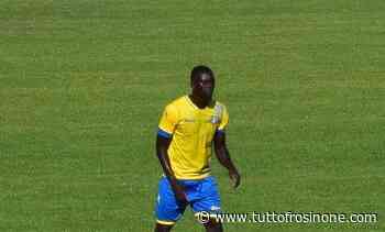 Verso Monza-Frosinone: Grosso spera di poter contare su Kujabi. La situazione - Tuttofrosinone