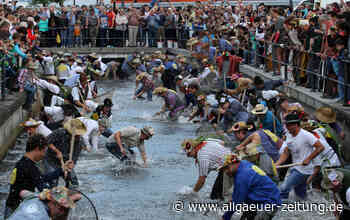 Fischertag in Memmingen 2022: Termin, Programm, Wieviele Frauen jucken in den Stadtbach? - Allgäuer Zeitung