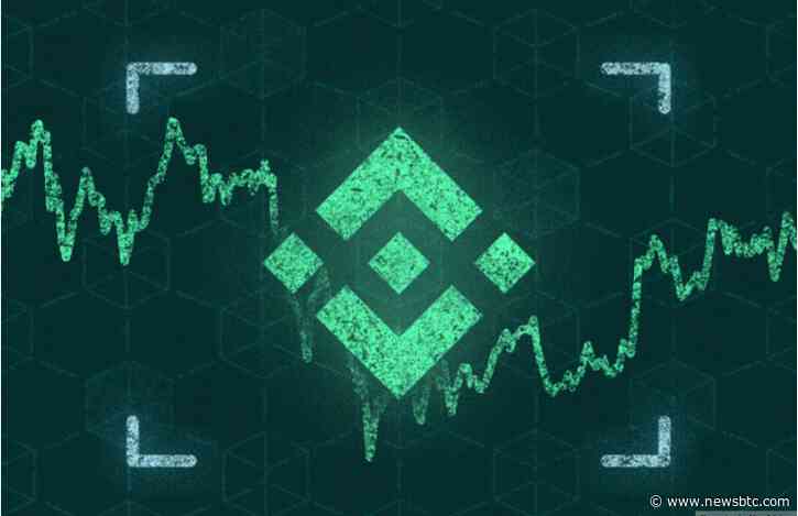 Binance Coin Finds Support At $240 – Can BNB Barrel Past $300?