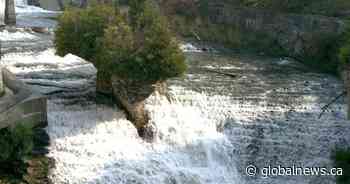 Damage from Wednesday’s storms closes Elora Gorge Conservation Area