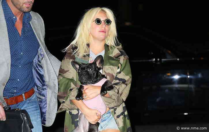 Lady Gaga dognapper sentenced to prison as alleged shooter, mistakenly release from jail, is rearrested