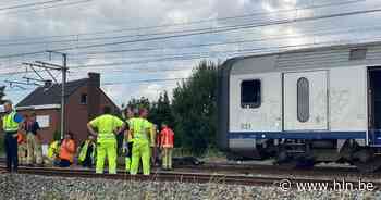 Treinverkeer tussen Gent en Brugge verstoord na aanrijding van koe aan station van Landegem - Het Laatste Nieuws