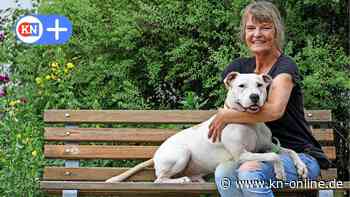 Tierheim Kiel in Not: Wenn das Wunsch-Haustier nur noch eine Last ist - Kieler Nachrichten