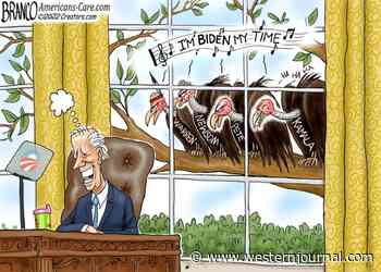 Vulture Politics